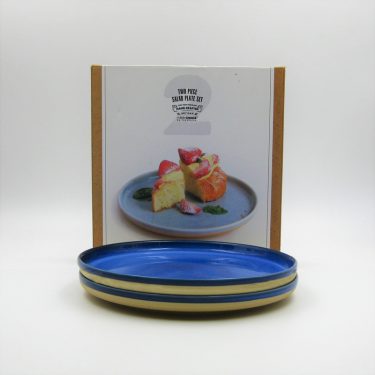 Artisan Blue - 2pc 8" Reactive Glazed Porcelain Plate
